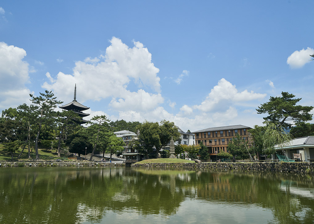 Sarusawa Pond